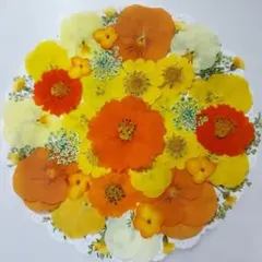 Item thumbnail for item 91847142-a2e1-4258-8d00-a87a5f181d68