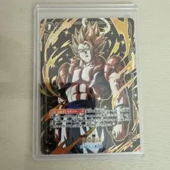 極限の煌めき R ☆ FB06 ブースターパック『迫り来る脅威』 FB05