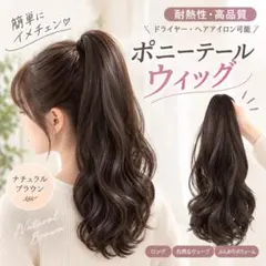 ポニーテール ウィッグ ナチュラルブラウン エクステ クリップ ロング 35cm