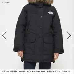THE NORTH FACE マウンテンダウンコート