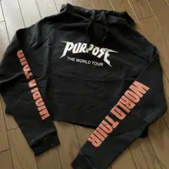 【美品】ミュージシャンパーカー　ジャスティン　ショート丈　クロップド丈　パーカー