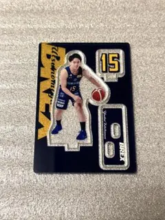 宇都宮ブレックス アクスタ