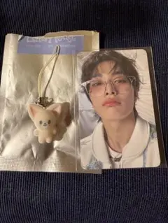 Straykids スキズ 本国ペンミ ミニチャーム＆オフライントレカI.N