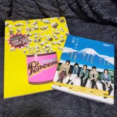 【セット】嵐　ARASHI パンフレット Popcorn　ニッポンの嵐