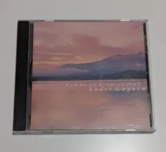 アンドレ・ギャニオン めぐり逢い Comme au premier jour