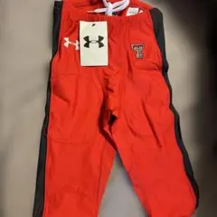 Item thumbnail for item 16d6193a-6215-4922-941b-e12cb8b8d881