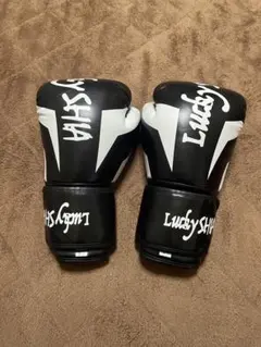 Item thumbnail for item 6fb85df5-0a8b-4b09-9f35-4650679c064b