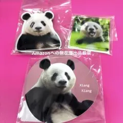 国際ホッキョクグマの日 551ファミリー 木製キーホルダー 4個セット 
