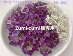 ドライフラワー　詰め合わせ　　　　　　　　　　　アリッサム　No.653