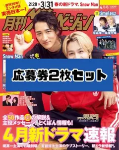 ザテレビジョン 4月号 応募券2枚セット
