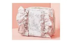 sweet付録　SNIDEL HOME　フリルポーチ　未使用