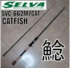 鯰 ナマズ ロッド セルヴァ SVC-662ML/CAT メジャークラフト セルヴァを実釣インプレッション！【ナマズ用