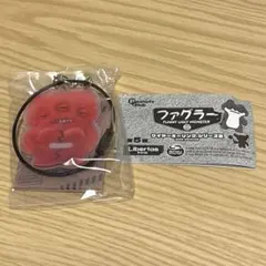 ファグラー ワイヤーキーリングシリーズ2 アノイド