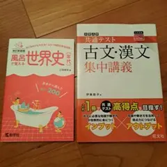大学受験 参考書 2冊セット 世界史 古文・漢文