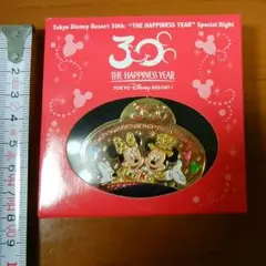 TDR30周年記念チャーム