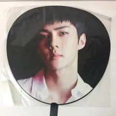 セフン 団扇 EXO Planet #3 - The EXO'rDIUM