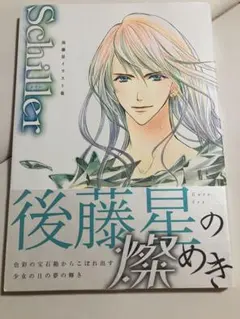 Schiller : 後藤星イラスト集