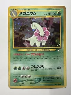 メガニウム_プレミアムファイル PROMO 第1世代 1996~1999