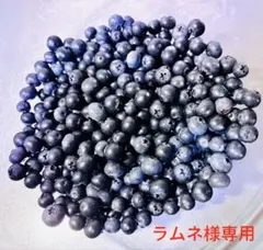 ラムネ様専用です。