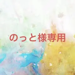 のっと様確認専用ページ【取り置き中　5月5日迄】