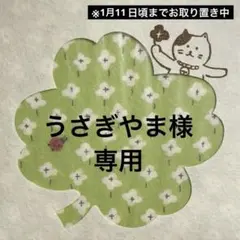 うさぎやま様　専用