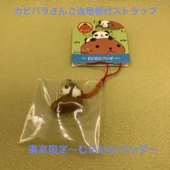 2025年最新】カピバラ ご当地の人気アイテム - メルカリ