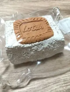 Item thumbnail for item 0eba2629-c8a8-4d6a-a5a0-d136ae3f41ef