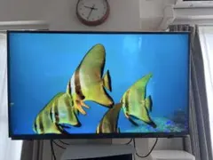 SHARP AQUOS 液晶テレビ LC-40H20 本体来週中手渡しのみ - メルカリ