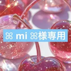 ꕤ mi ꕤ様専用☺︎