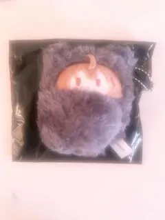 からぴちうりくるたぴぬい