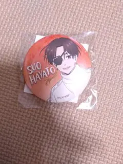 2025年最新】WINDBREaKER 蘇枋隼飛 缶バッジの人気アイテム - メルカリ