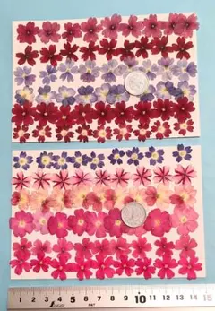 までやの花様 リクエスト 3点 まとめ商品