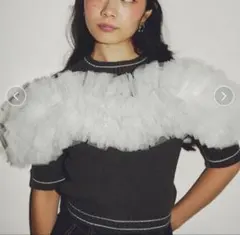 bibiy Bibiy. GISELLE TULLE KNIT - メルカリ