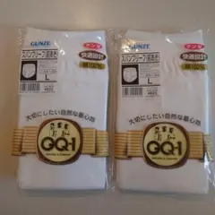 GUNZE GQ-1 スパンブリーフ L ホワイト2つセット