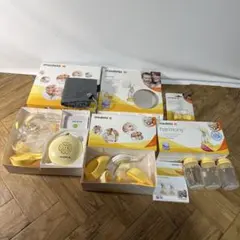 送料込》Medela Pump in Style max flow 母乳搾乳器 - メルカリ