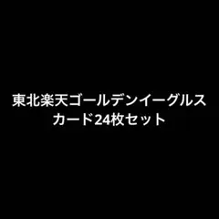 プロ野球 カード 24枚セット 東北楽天ゴールデンイーグルスファン向け