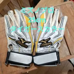 小笠原道大 実使用 バッティンググローブ 右手 - メルカリ