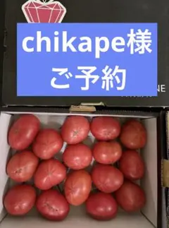 超メルカリ市価格！ブリックスナイン5箱 ブリックスナイン 5箱 フルーツトマト - メルカリ