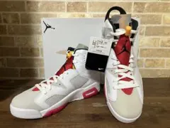 Nike Air Jordan 6 Neutral Grey Hare