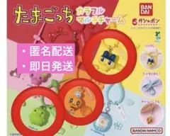 たまごっち カラフル マルチチャーム バラ売り可‼️