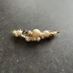 し*お様 Clip Parisバレッタ