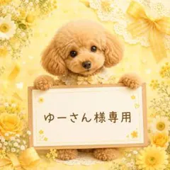 ゆーさん様専用