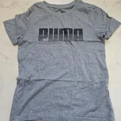 PUMAキッズTシャツ