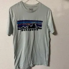パタゴニア　Tシャツ　水色　中古品　S スリムフィット