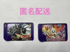 ポケモンフレンダ　スーパートレジャー　ジガルデ　ビクティニ