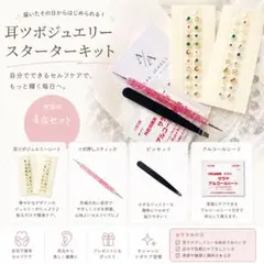 ichi様 リクエスト 10点 まとめ商品　耳ツボジュエリー