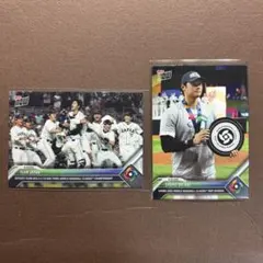 Item thumbnail for item bcdc8a90-17da-426c-8d21-408f19c851f3