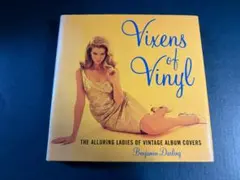 Vixens of Vinyl 　【洋書・ビジュアルブック】