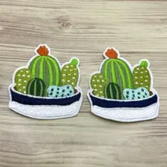 サボテン　観葉植物　アイロンワッペン　アップリケ　２枚セット