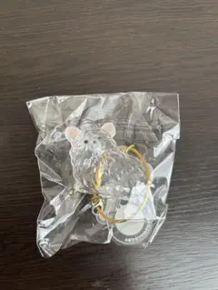 うちの子けだまだま　犬　チワワ白